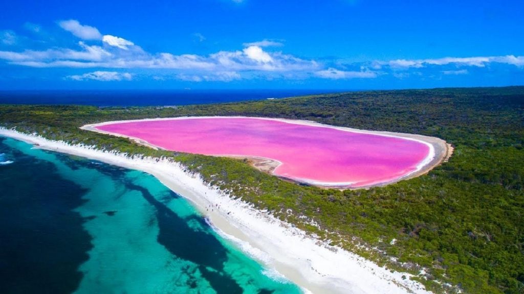 PINK LAKE