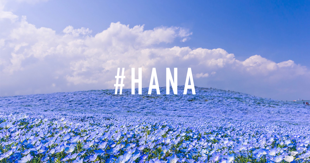 # Cover 1000×525 MID