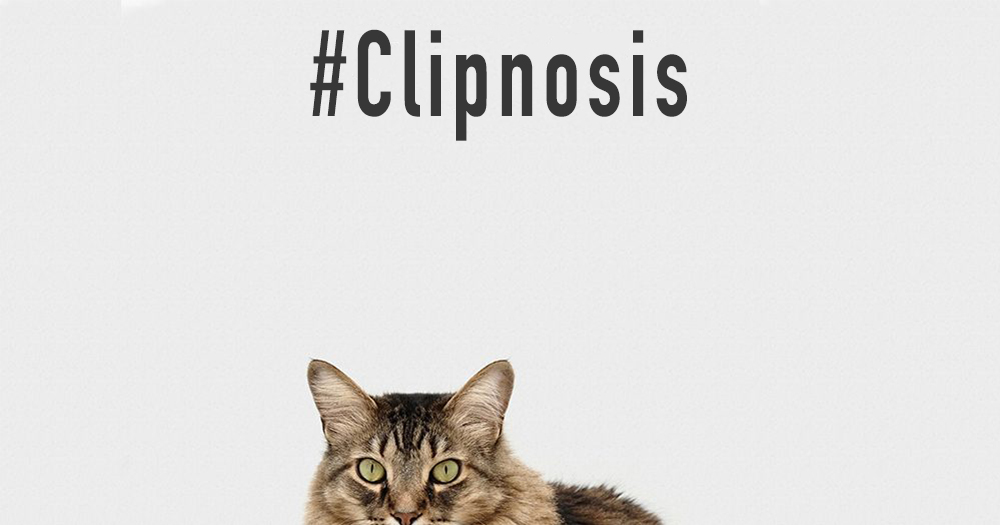 # Cover 1000×525 TOP