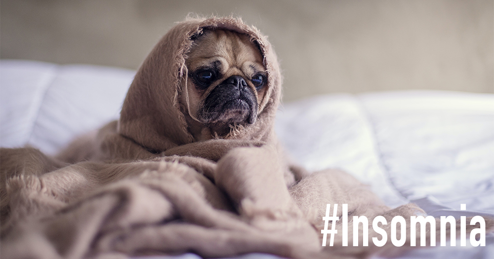 # Cover 1000×525 Right