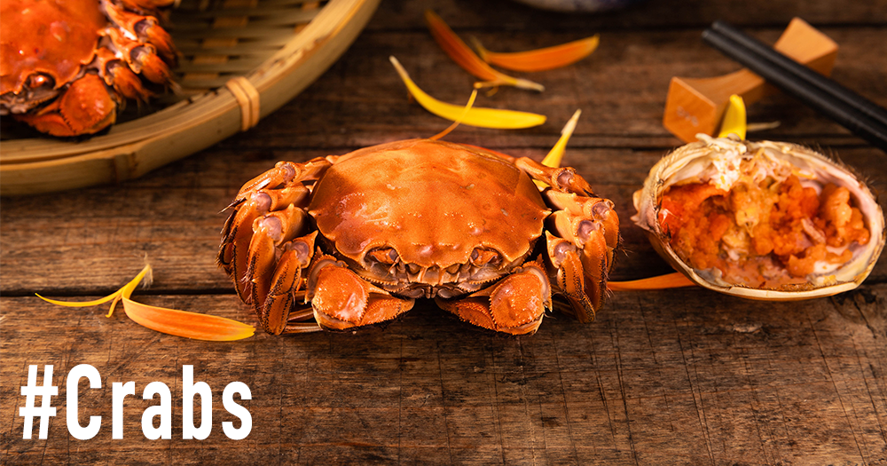 # Cover 1000×525 Left