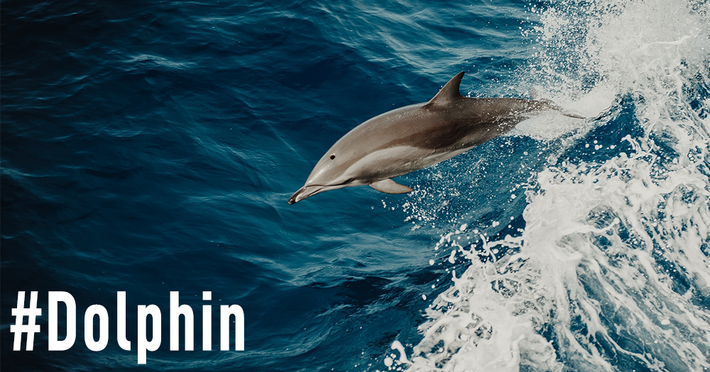 # Cover 1000×525 Left