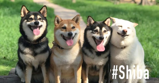 Knowledge Archives Page 2 Of 5 Aha Moment