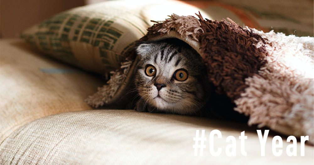 # Cover 1000×525 Right